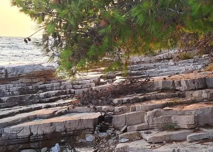 Loviste Apartments 公寓 Lovište